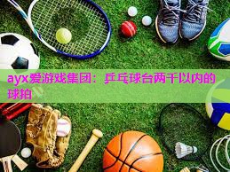 ayx爱游戏集团：乒乓球台两千以内的球拍