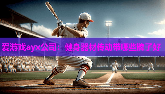 爱游戏ayx公司：健身器材传动带哪些牌子好