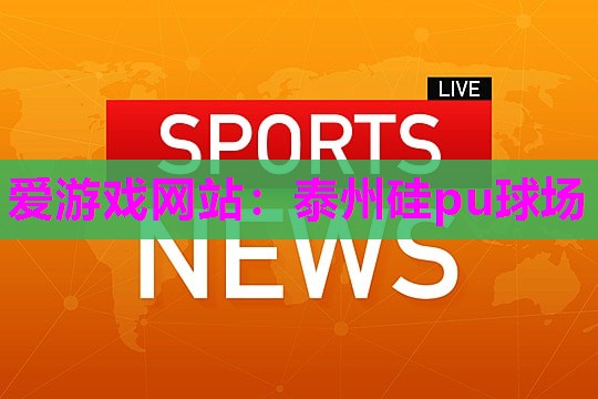 爱游戏网站：泰州硅pu球场