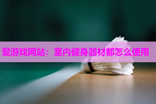 爱游戏网站：室内健身器材都怎么使用