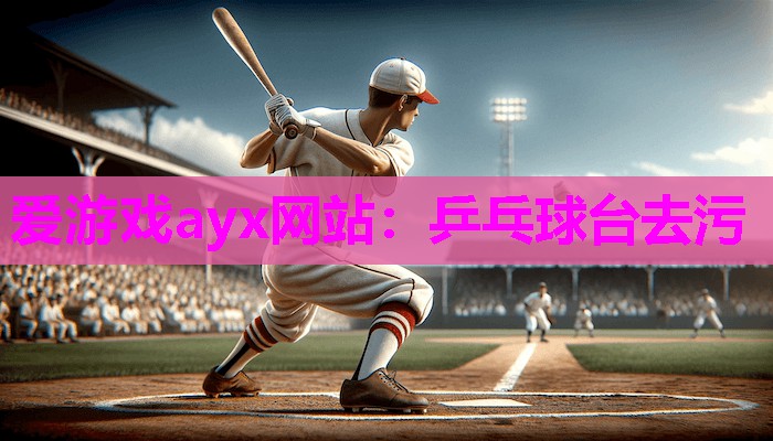 爱游戏ayx网站：乒乓球台去污