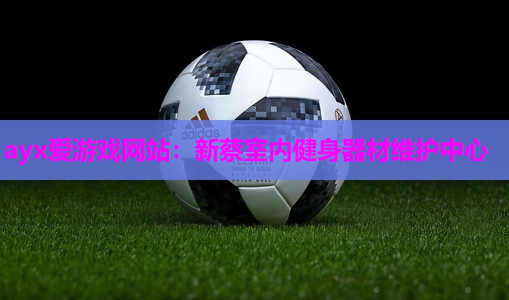 ayx爱游戏网站：新蔡室内健身器材维护中心