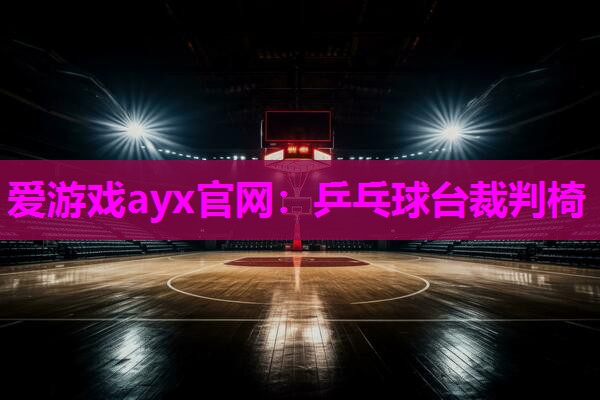 爱游戏ayx官网：乒乓球台裁判椅