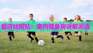 爱游戏网站：室内健身房讲解词语