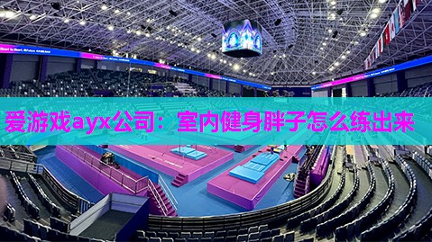 爱游戏ayx公司：室内健身胖子怎么练出来