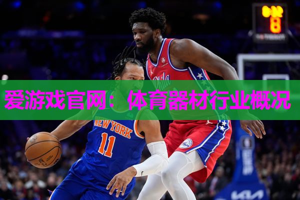 爱游戏官网：体育器材行业概况