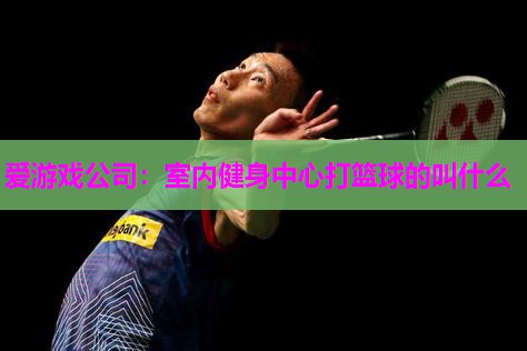 爱游戏公司：室内健身中心打篮球的叫什么