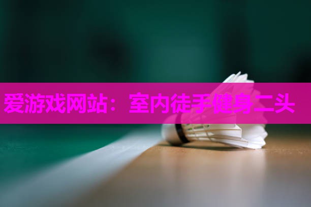 爱游戏网站：室内徒手健身二头