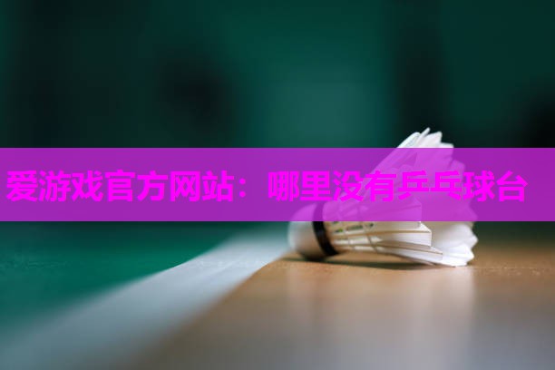 爱游戏官方网站：哪里没有乒乓球台