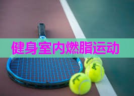 健身室内燃脂运动