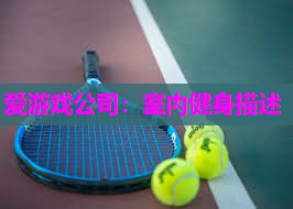 爱游戏公司：室内健身描述