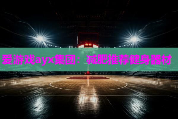 爱游戏ayx集团：减肥推荐健身器材