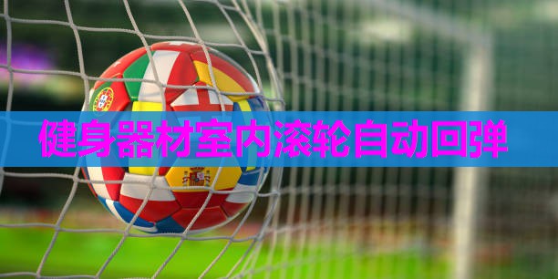 健身器材室内滚轮自动回弹