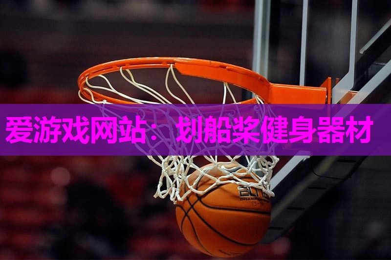 爱游戏网站：划船桨健身器材