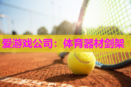 爱游戏公司：体育器材剑架
