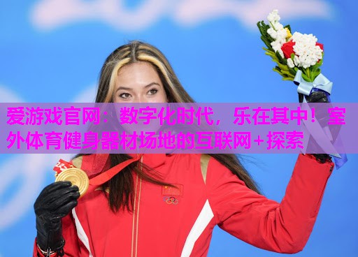 爱游戏官网：数字化时代，乐在其中！室外体育健身器材场地的互联网+探索