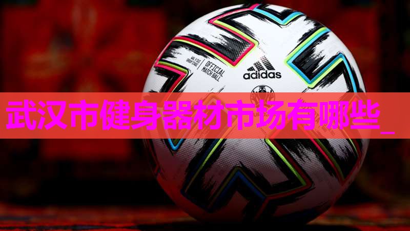 武汉市健身器材市场有哪些_