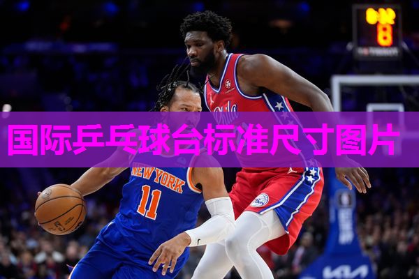 国际乒乓球台标准尺寸图片