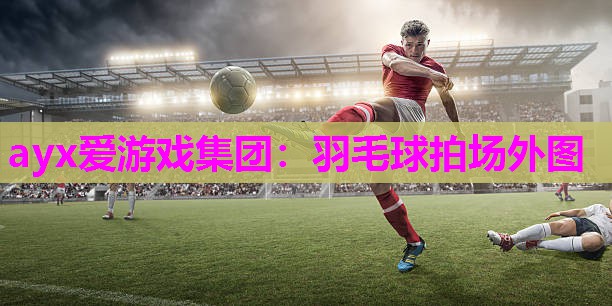 ayx爱游戏集团：羽毛球拍场外图