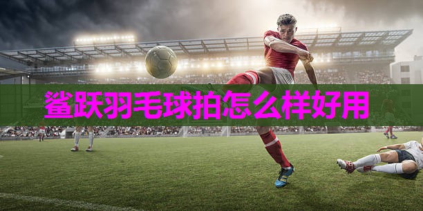 鲨跃羽毛球拍怎么样好用