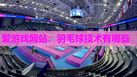 爱游戏网站：羽毛球技术有哪些