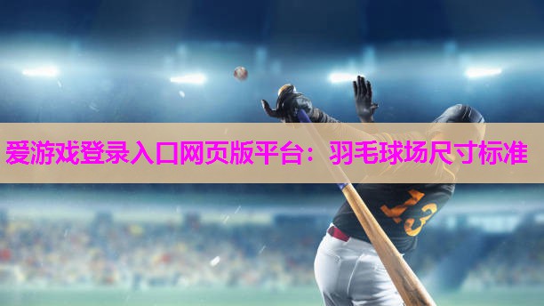 爱游戏登录入口网页版平台：羽毛球场尺寸标准
