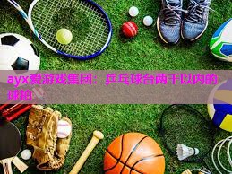 乒乓球台两千以内的球拍