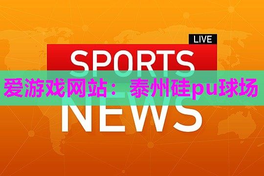泰州硅pu球场