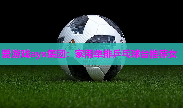 家用单排乒乓球台推荐女