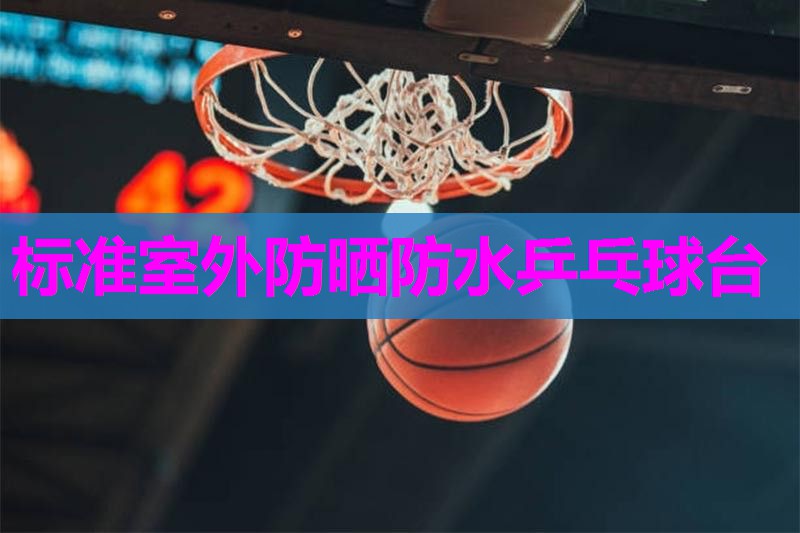 标准室外防晒防水乒乓球台
