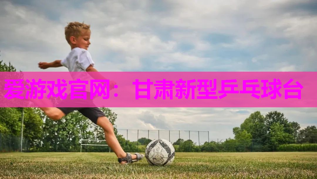 甘肃新型乒乓球台
