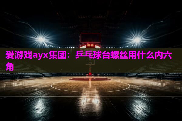 乒乓球台螺丝用什么内六角