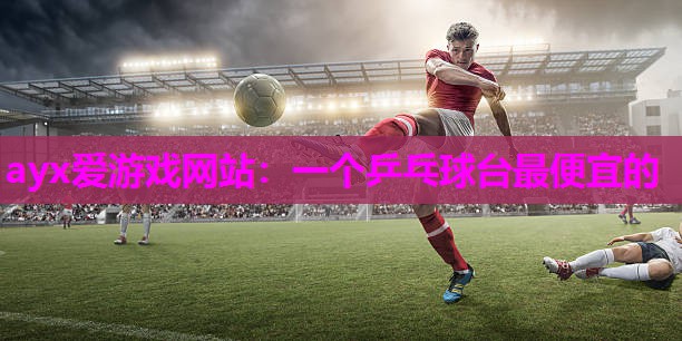 一个乒乓球台最便宜的
