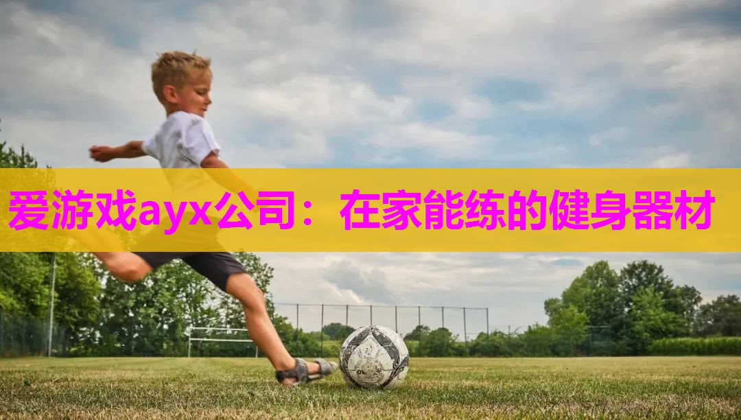 在家能练的健身器材