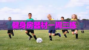 健身房器材一周三练