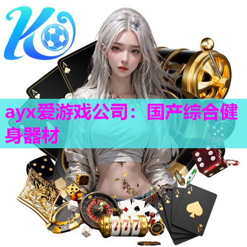 国产综合健身器材