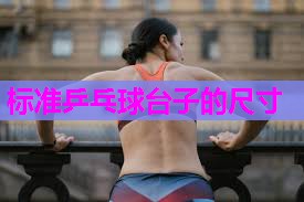 标准乒乓球台子的尺寸