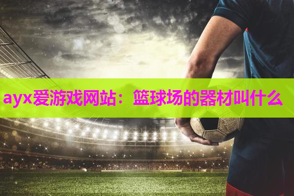篮球场的器材叫什么