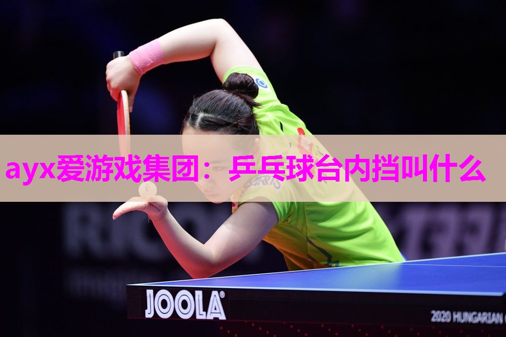 乒乓球台内挡叫什么