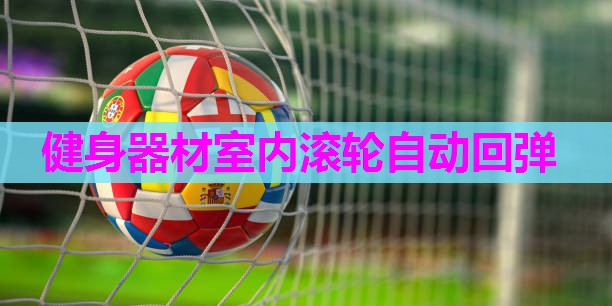 健身器材室内滚轮自动回弹