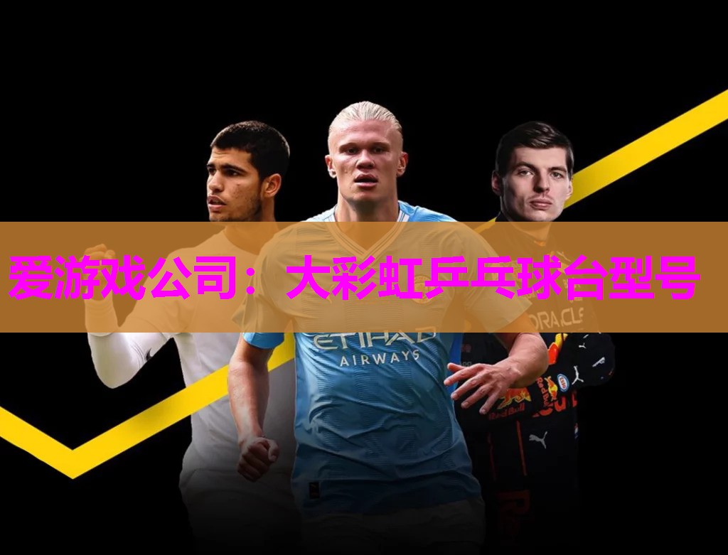 大彩虹乒乓球台型号