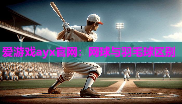 网球与羽毛球区别