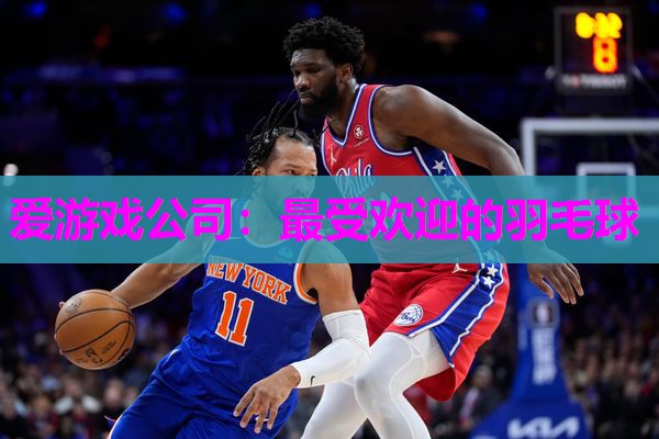 最受欢迎的羽毛球