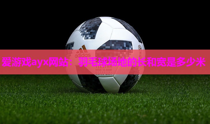 羽毛球场地的长和宽是多少米