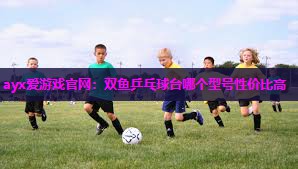 双鱼乒乓球台哪个型号性价比高