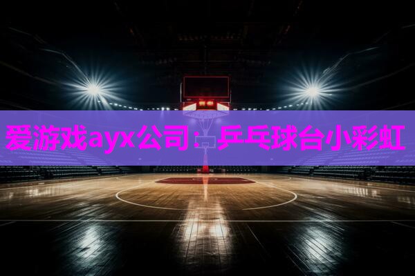 乒乓球台小彩虹