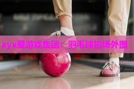 羽毛球拍场外图
