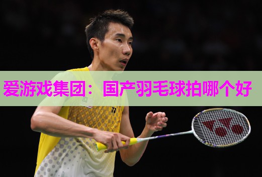 国产羽毛球拍哪个好