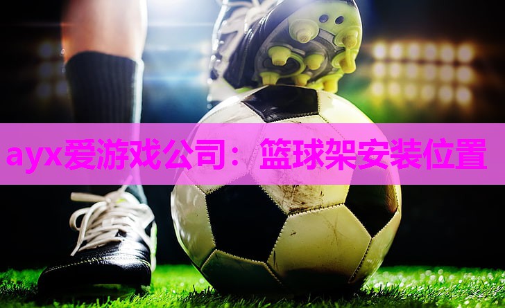 篮球架安装位置