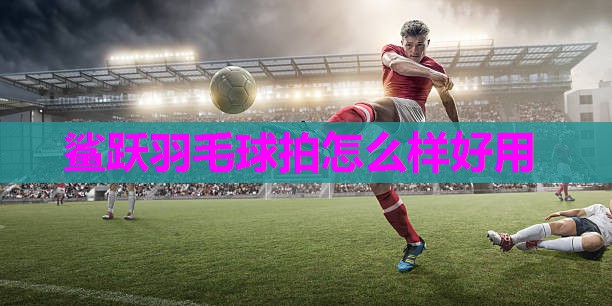 鲨跃羽毛球拍怎么样好用